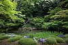 _MG_1015.jpg