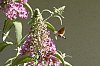 _MG_1039_DxO.jpg