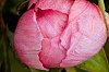 _MG_1114.jpg