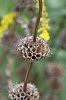 _MG_1177_DxO.jpg