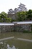 _MG_1181.jpg