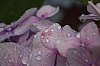 _MG_1199_DxO.jpg