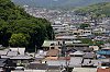 _MG_1215.jpg