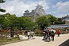 _MG_1226.jpg