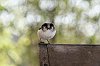 _MG_1243_1_DxO.jpg