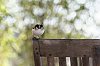 _MG_1243_DxO.jpg