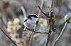 _MG_1256_DxO.jpg