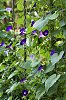 _MG_1264_DxO.jpg