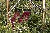 _MG_1268_DxO.jpg