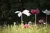 _MG_1273_DxO.jpg