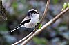 _MG_1275_DxO.jpg