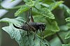_MG_1438_DxO.jpg