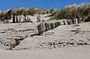 _MG_1442.jpg