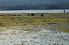 _MG_1472.jpg