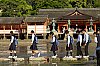 _MG_1495.jpg