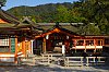 _MG_1513_28129.jpg