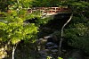 _MG_1528.jpg