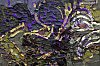 _MG_1539_DxO.jpg