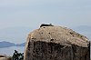 _MG_1576.jpg