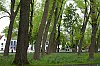 _MG_1582~0.jpg