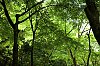 _MG_1586.jpg