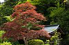 _MG_1616.jpg