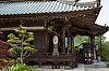 _MG_1617.jpg