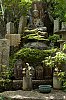 _MG_1620.jpg