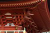 _MG_1700.jpg