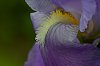 _MG_1716.jpg