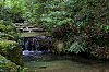 _MG_1765.jpg