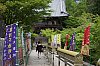 _MG_1859.jpg