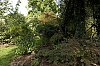 _MG_2107_DxO.jpg