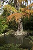 _MG_2110_DxO.jpg