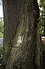 _MG_2111_DxO.jpg