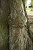 _MG_2112_DxO.jpg