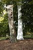 _MG_2114_DxO.jpg