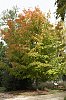 _MG_2117_DxO.jpg