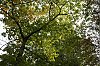 _MG_2118_DxO.jpg