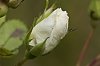 _MG_2141_DxO.jpg