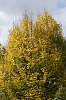 _MG_2153_DxO.jpg