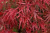_MG_2156_DxO.jpg