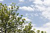 _MG_2269_DxO.jpg