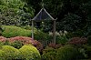 _MG_2340.jpg