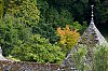_MG_2370.jpg