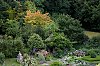 _MG_2387.jpg