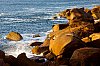 _MG_2486.jpg