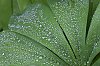 _MG_2493_DxO.jpg