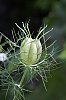 _MG_2539_DxO.jpg