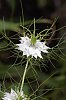 _MG_2540_DxO.jpg